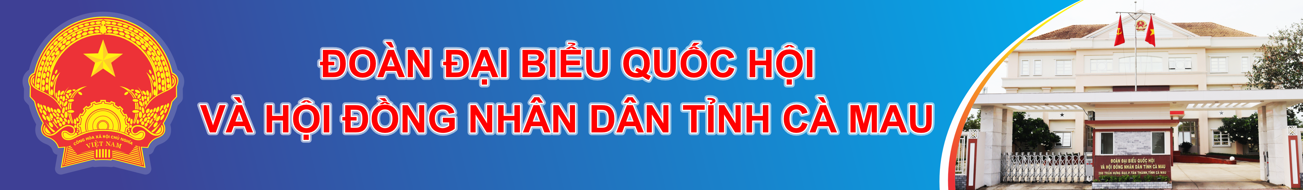 image banner