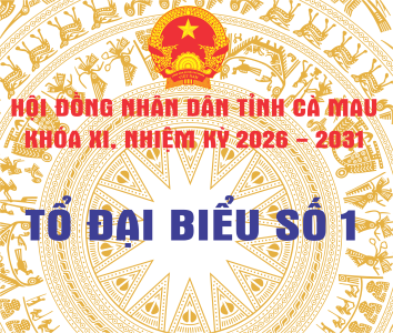 Tổ đại biểu số 1, sinh hoạt trên địa bàn Phường An Xuyên và Phường Lý Văn Lâm